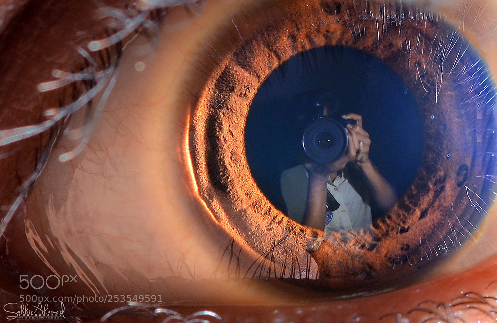 Nikon D7100 sample photo. Untitled photography