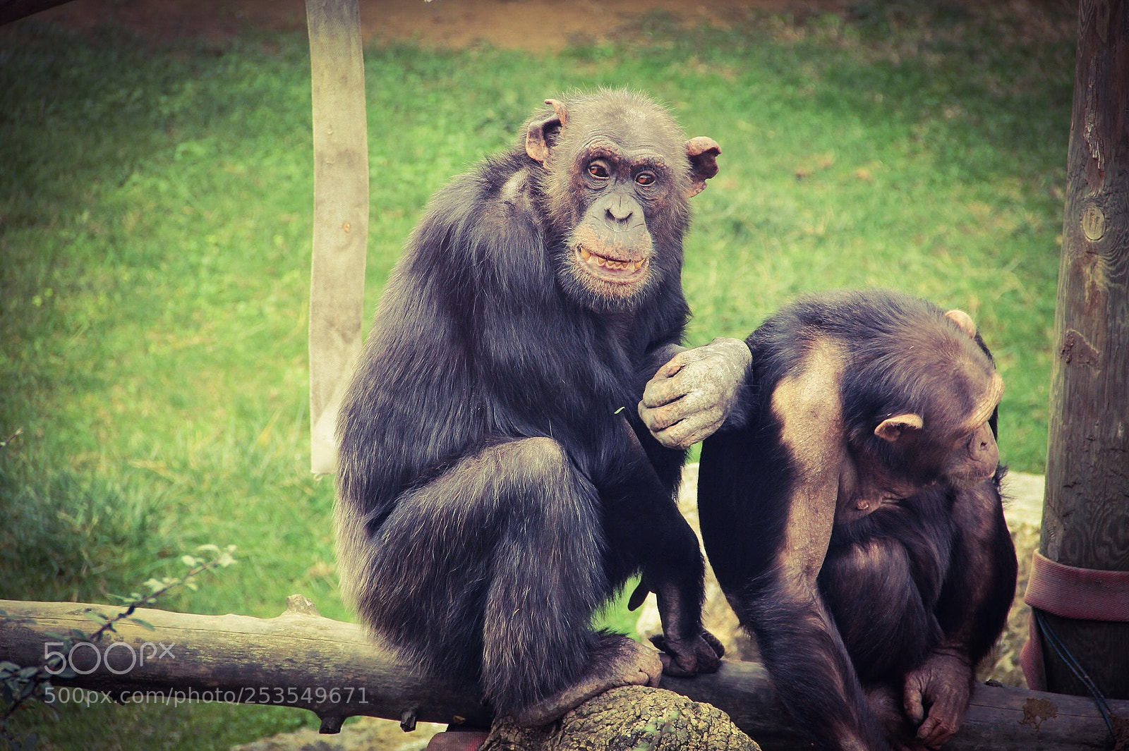 Canon EOS 60D sample photo. Untitled photography