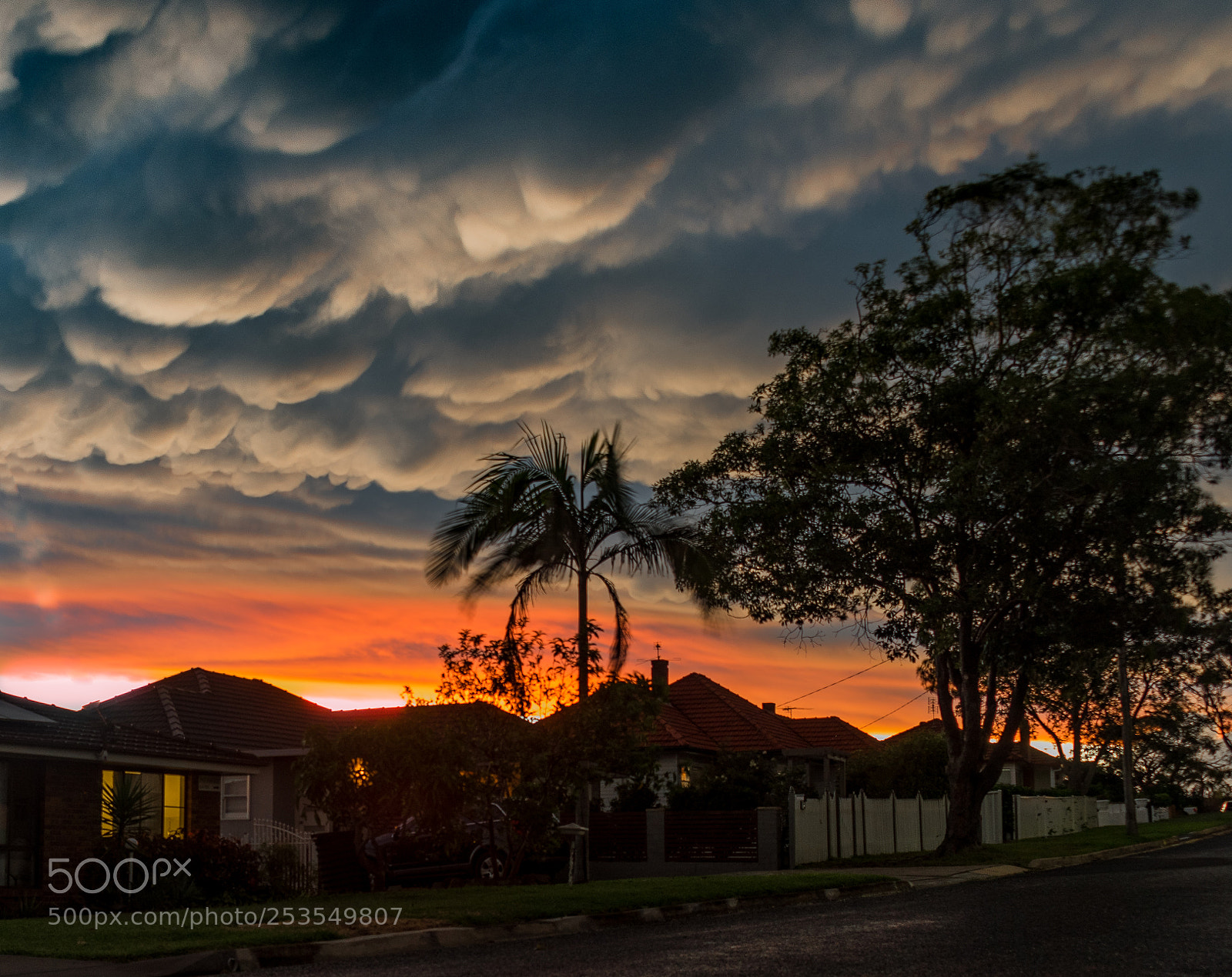 Nikon D810 sample photo. Clouds in backyard photography