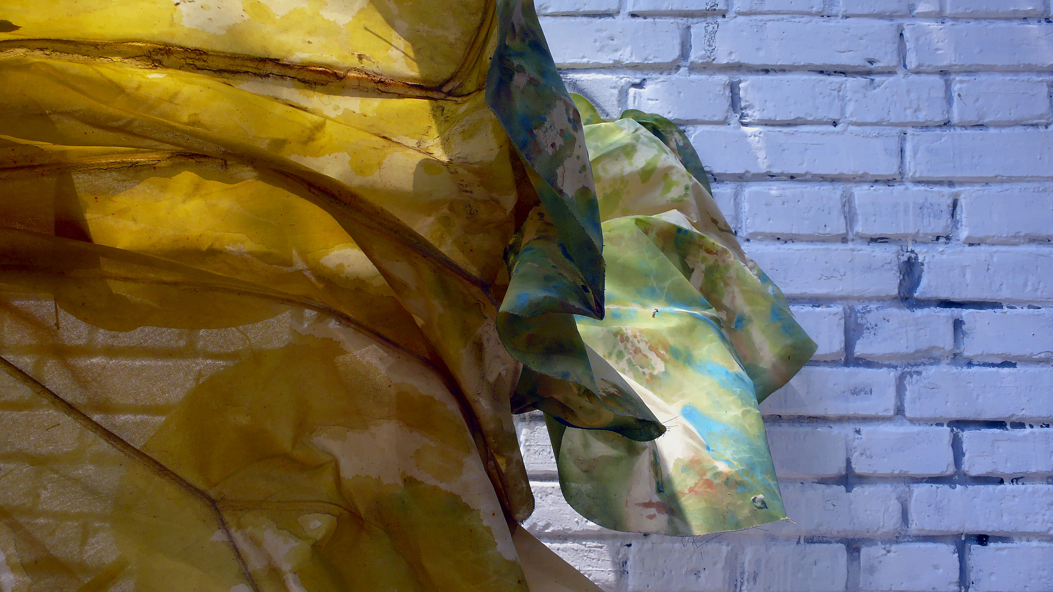 Leica D-LUX 3 sample photo. Fabric flower -  798 art zone photography
