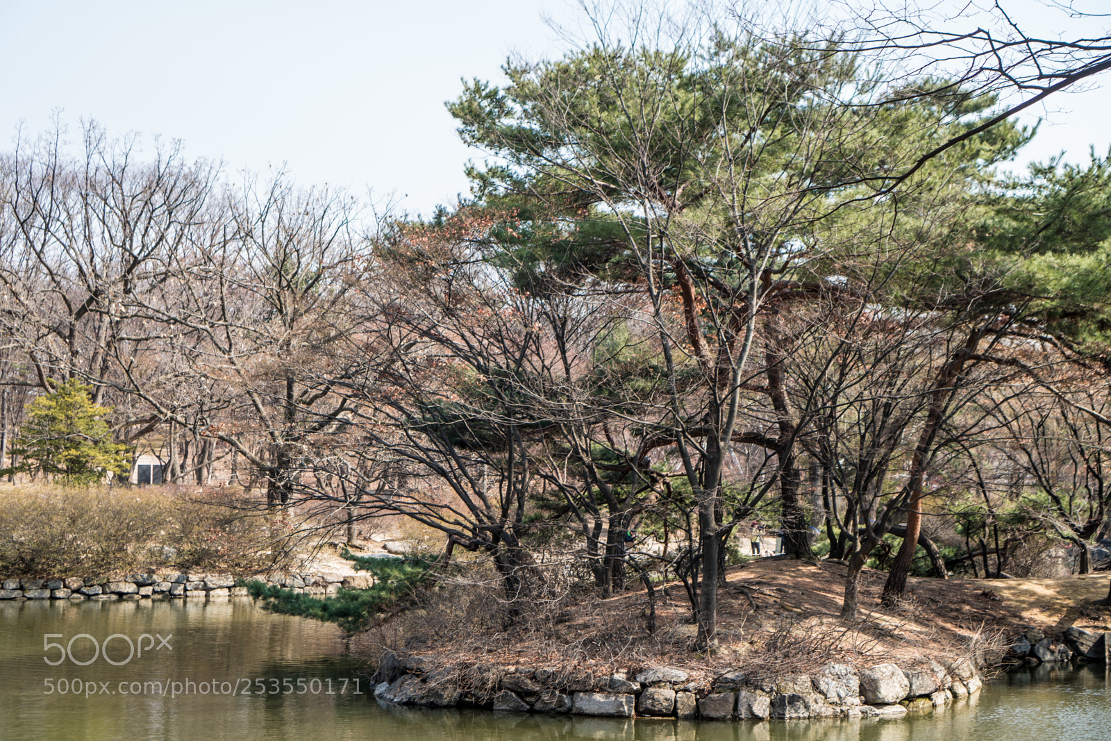 Sony a6300 sample photo. Edge of water photography