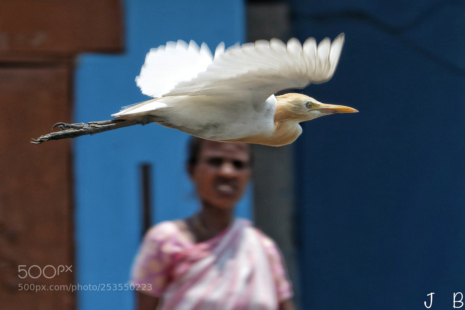 Canon EOS 80D sample photo. Flying “hat” photography