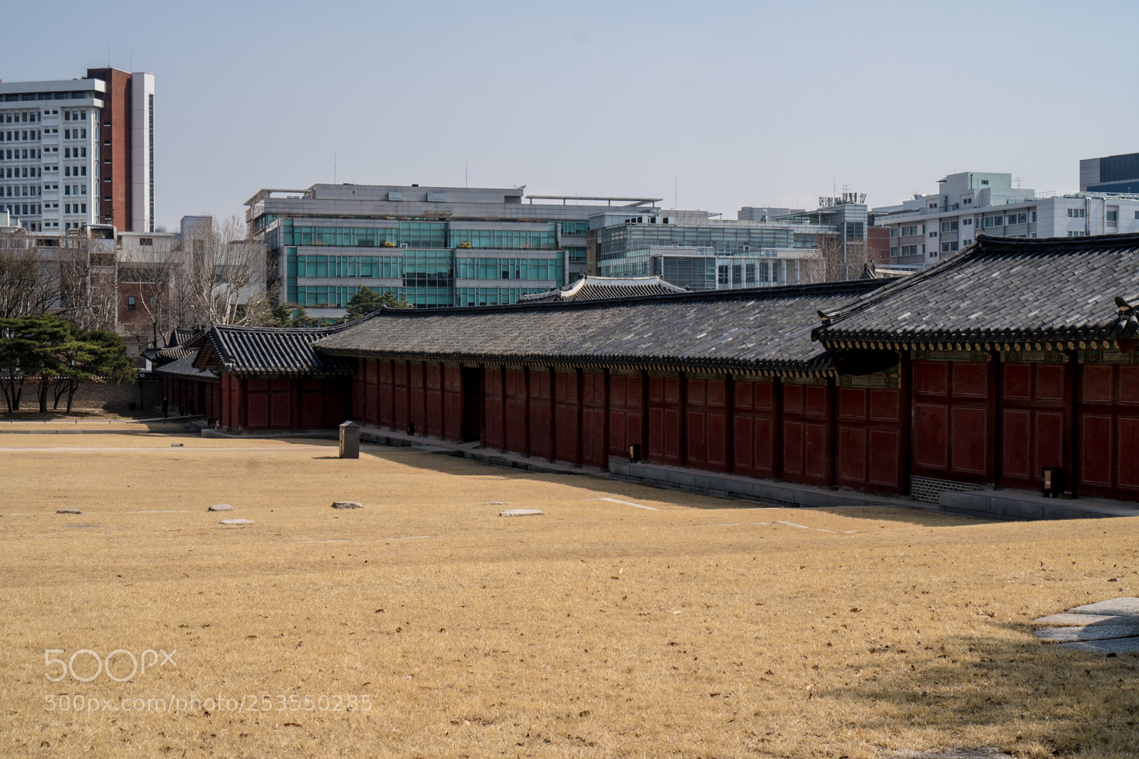 Sony a6300 sample photo. Grass photography