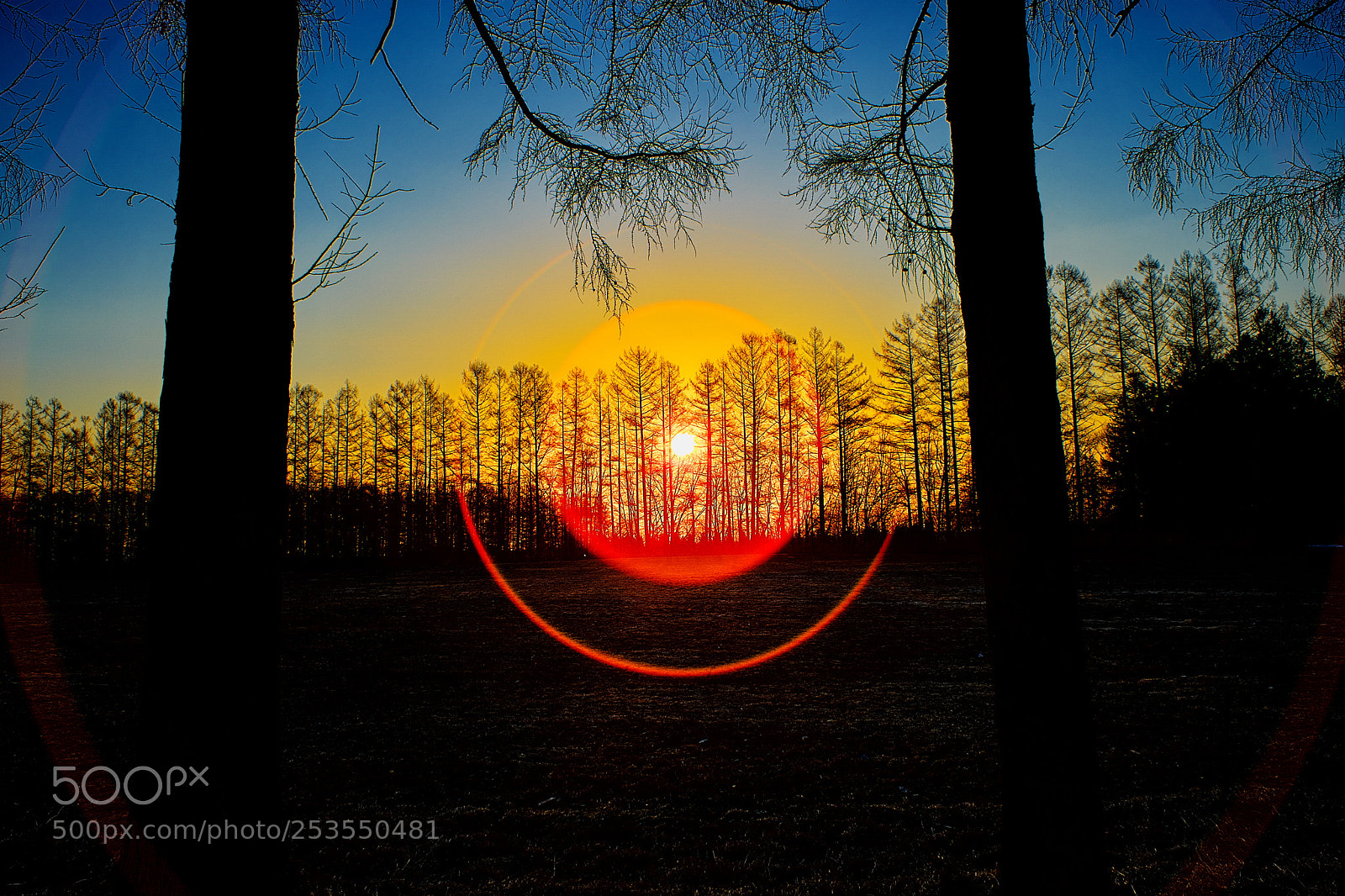 Sony a9 sample photo. Shadowgraph ll photography