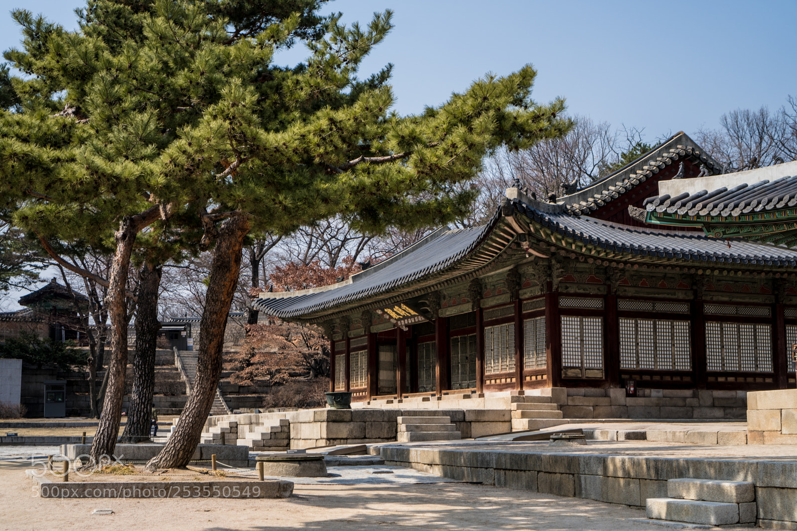 Sony a6300 sample photo. Many steps photography