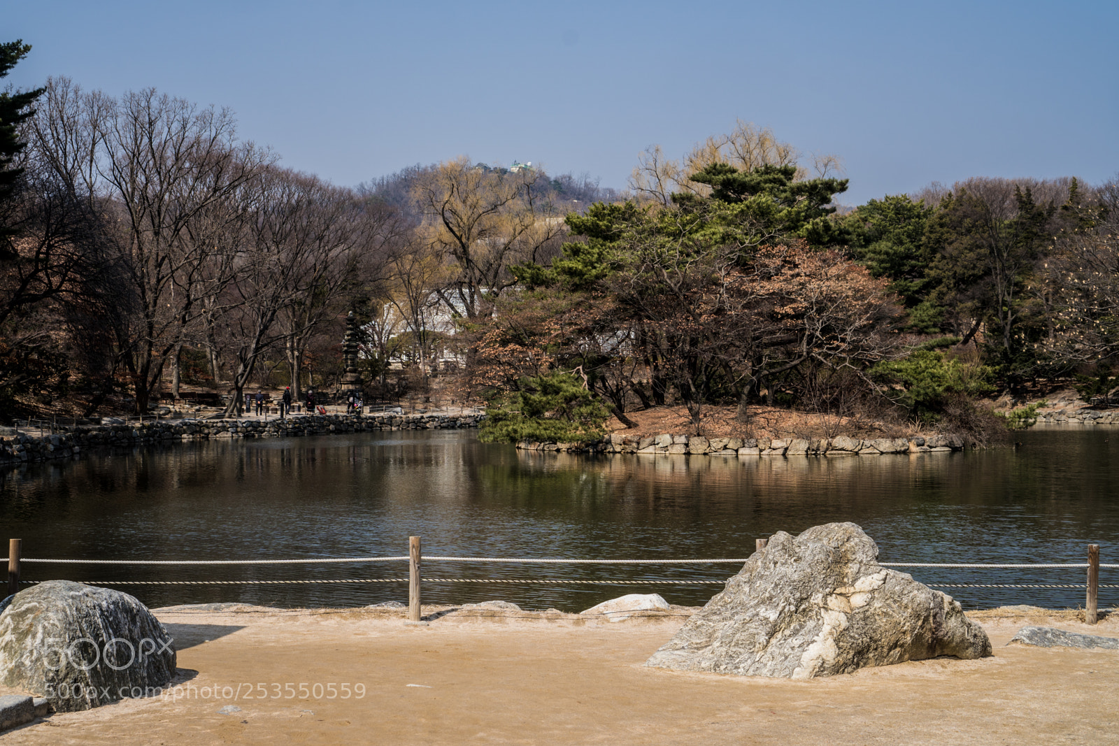 Sony a6300 sample photo. Pond photography