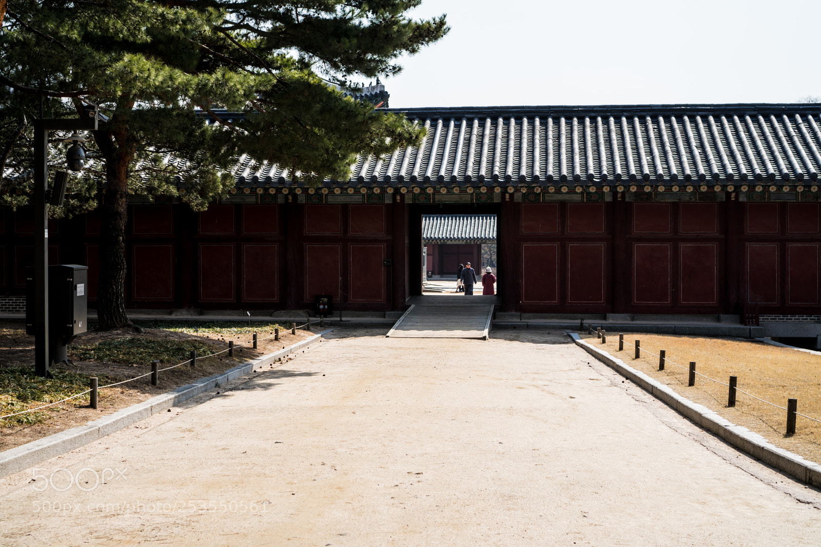 Sony a6300 sample photo. Opening photography