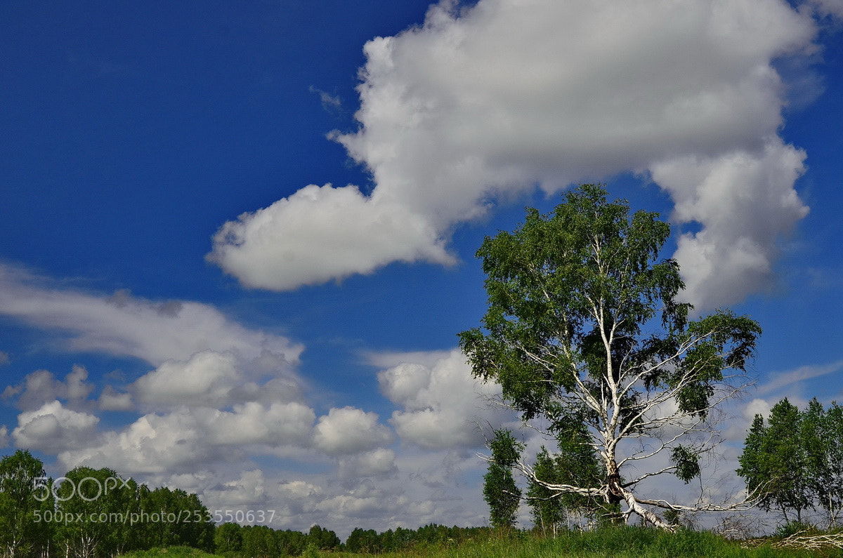 Nikon D7000 sample photo. Russia. the south of photography
