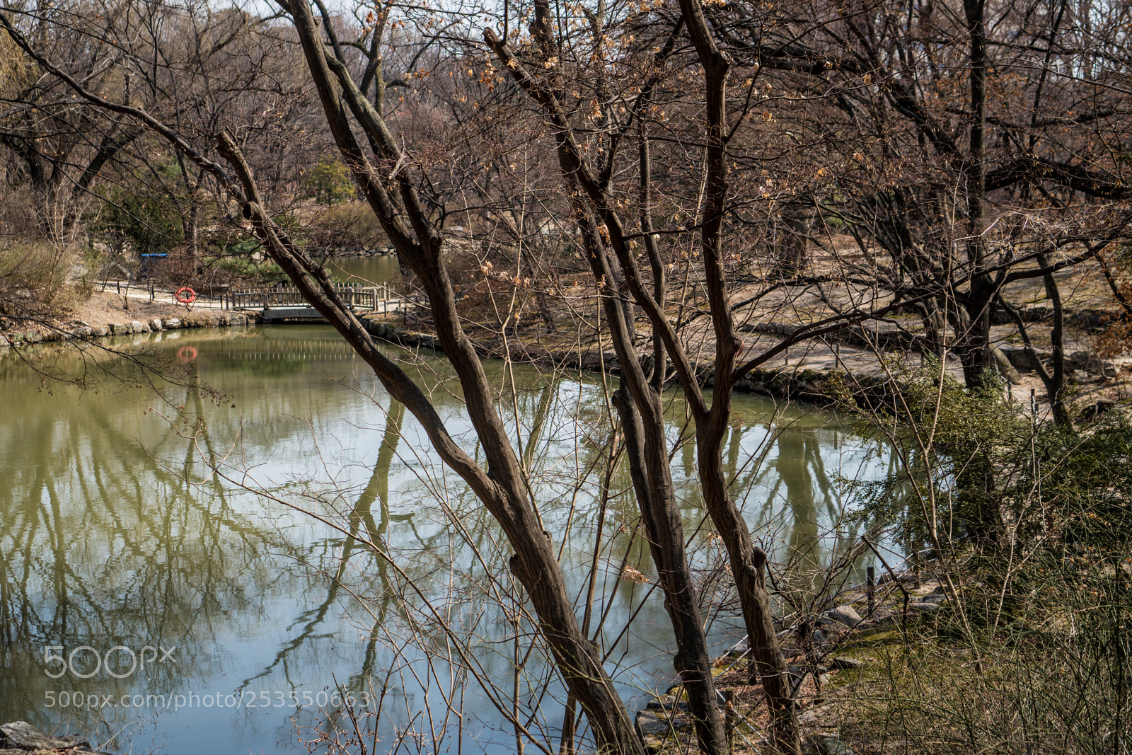 Sony a6300 sample photo. Pond edge photography