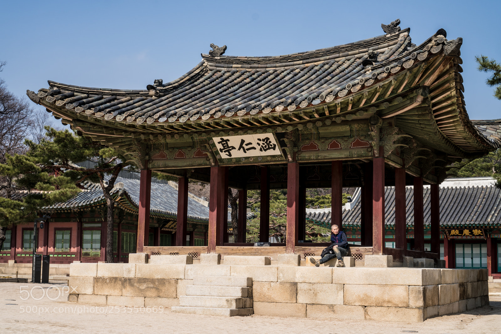 Sony a6300 sample photo. Resting photography