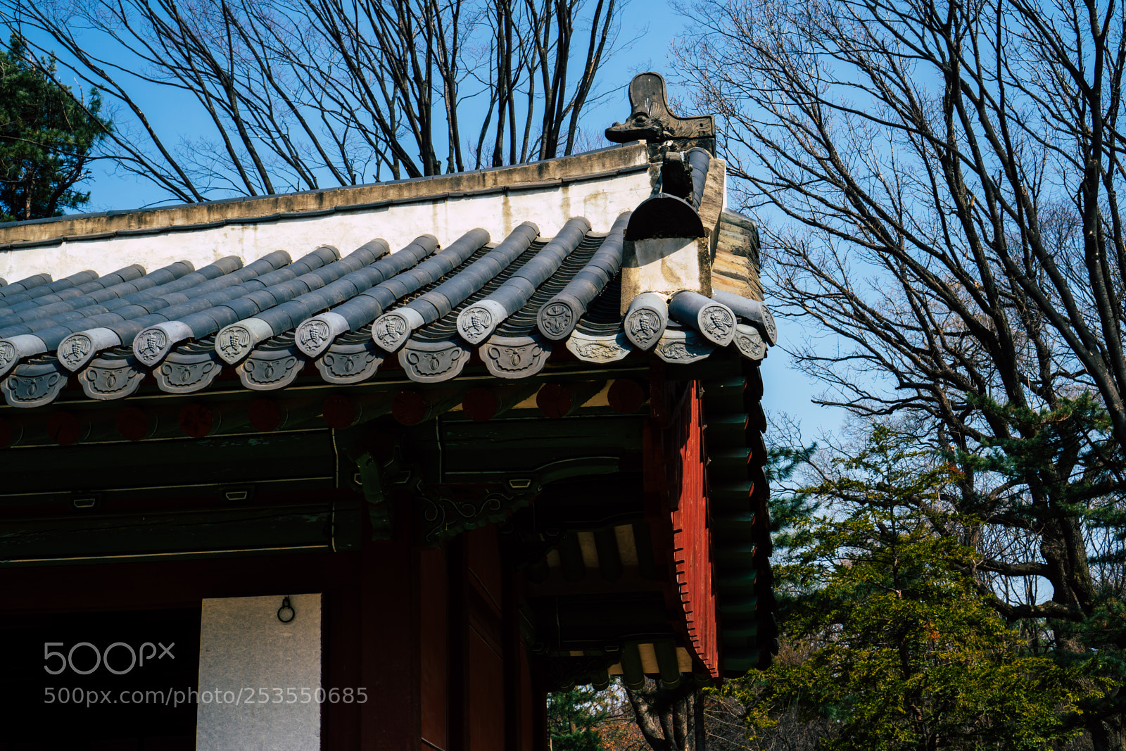 Sony a6300 sample photo. Roof photography