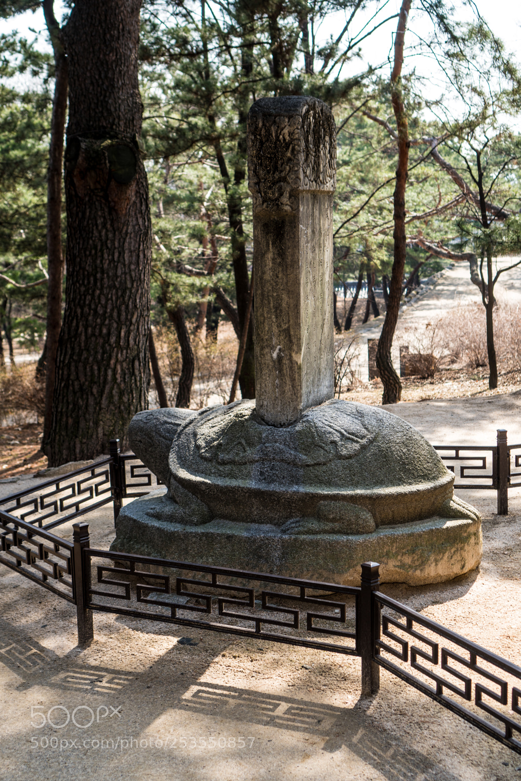 Sony a6300 sample photo. Turltle shell photography