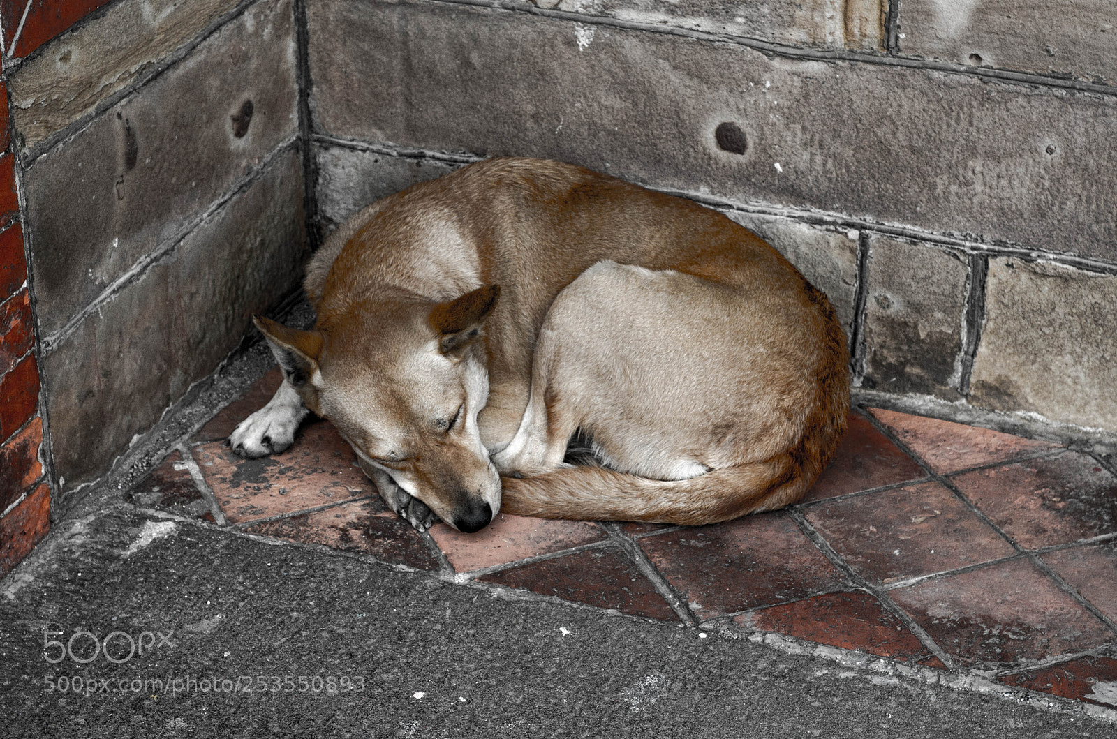 Nikon D7000 sample photo. Siesta photography
