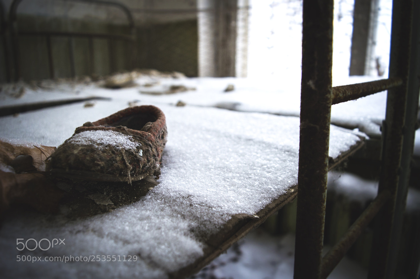 Nikon D3200 sample photo. Untitled photography