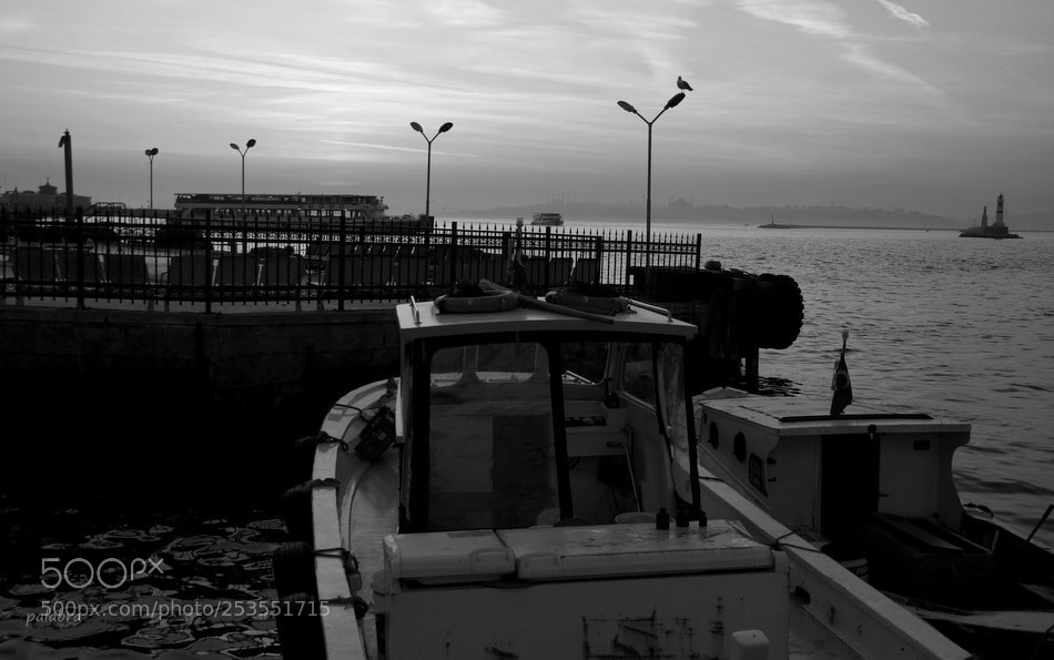 Samsung NX300 sample photo. ... photography