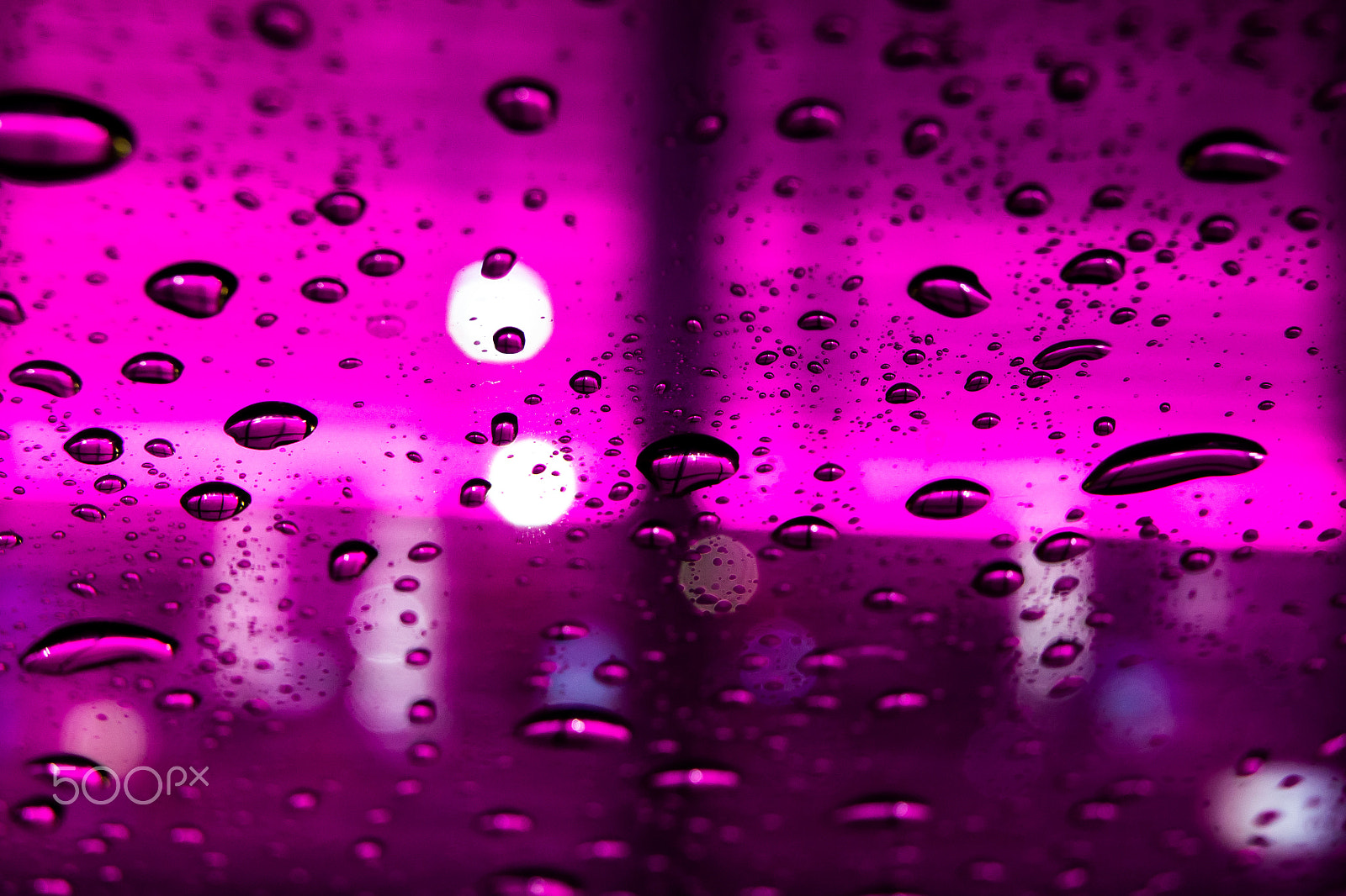Sony Alpha DSLR-A500 sample photo. Pink rain drops photography
