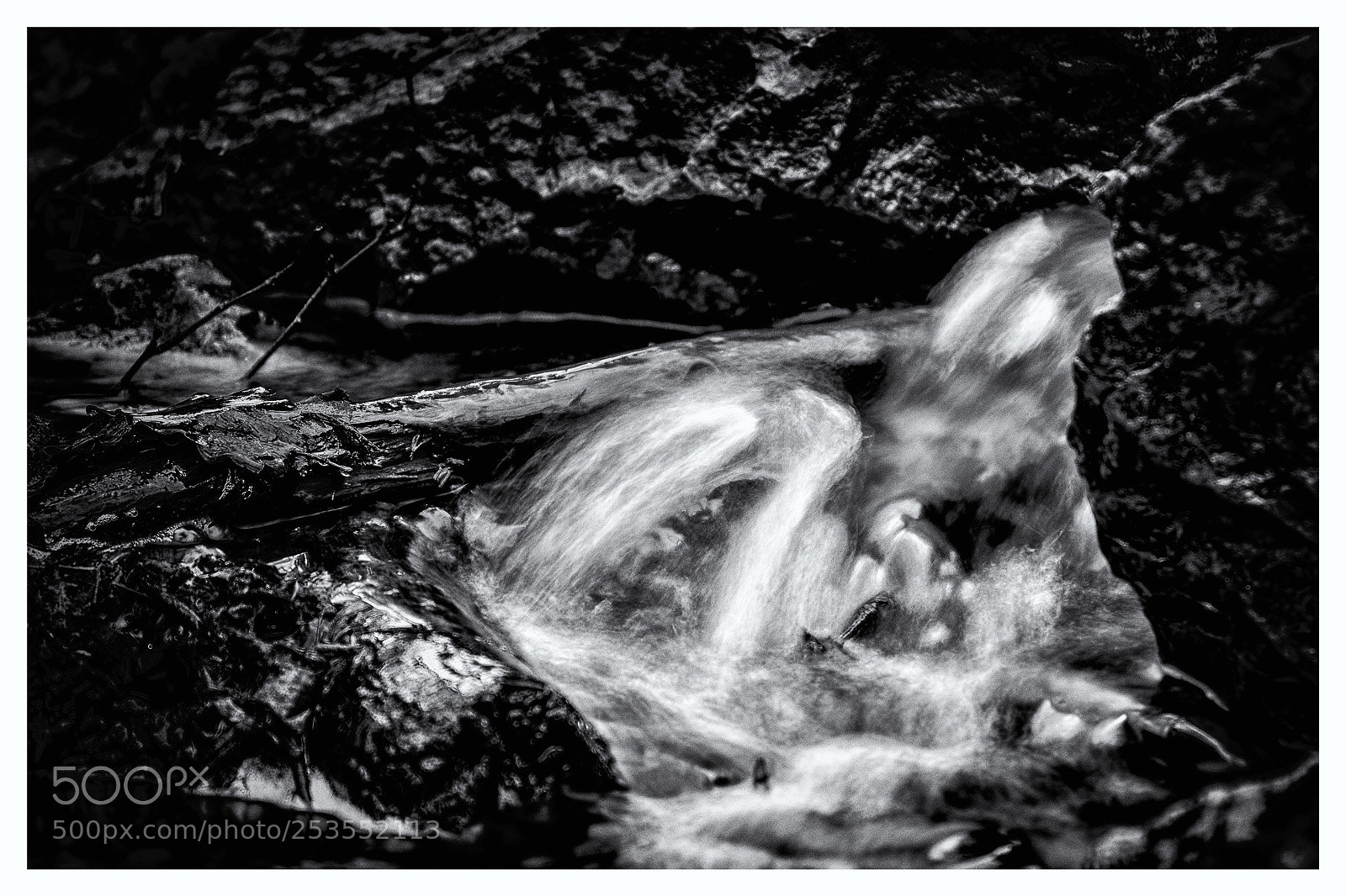 Pentax K-S2 sample photo. Black and white move photography