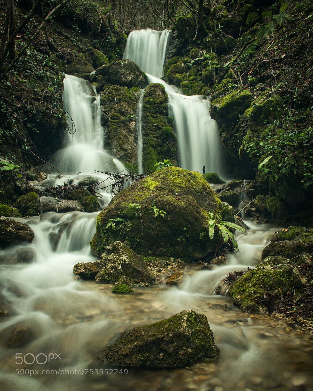 Nikon D5600 sample photo. Silver fall photography