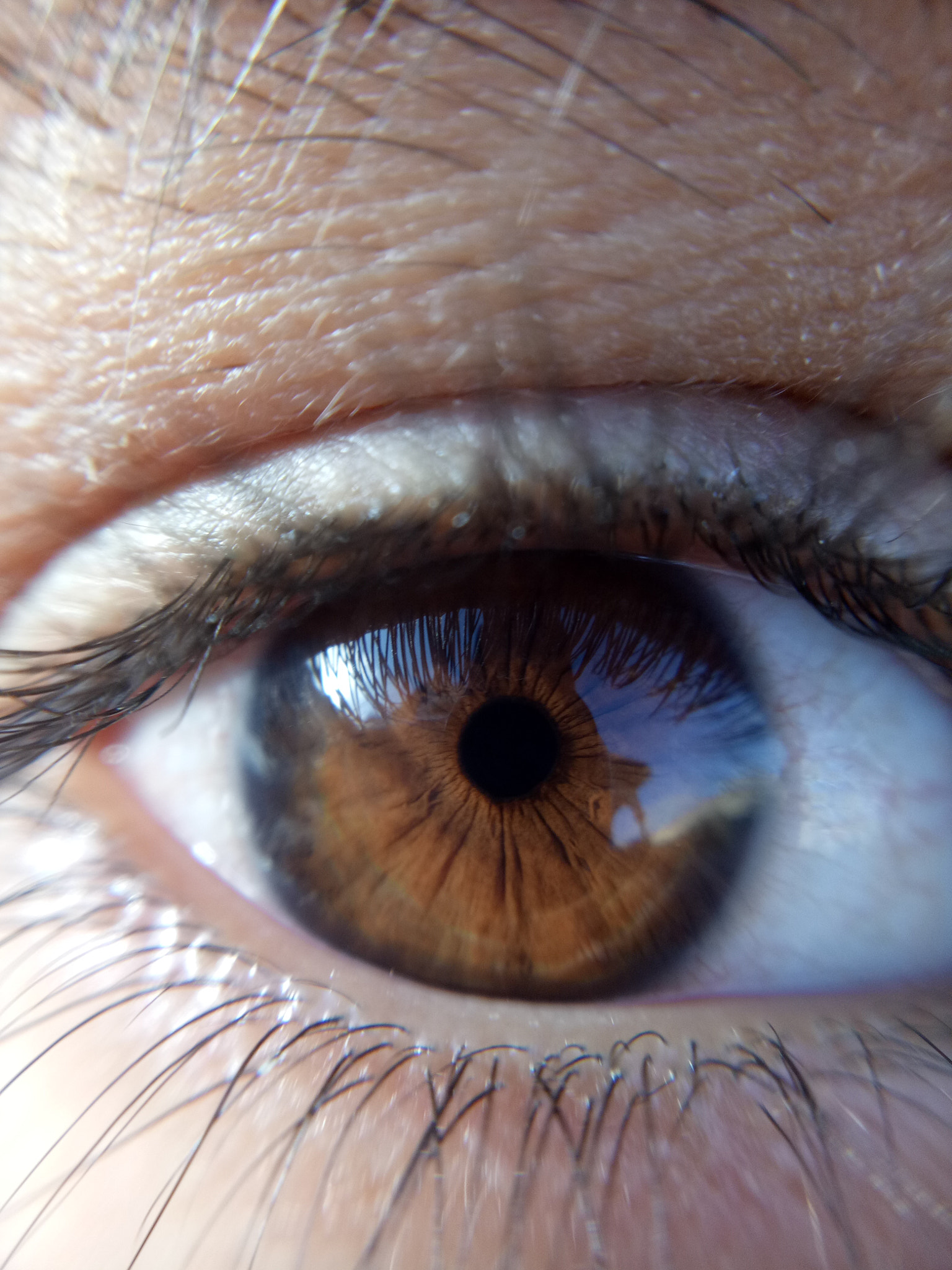 OPPO A1601 sample photo. Macro eye! photography