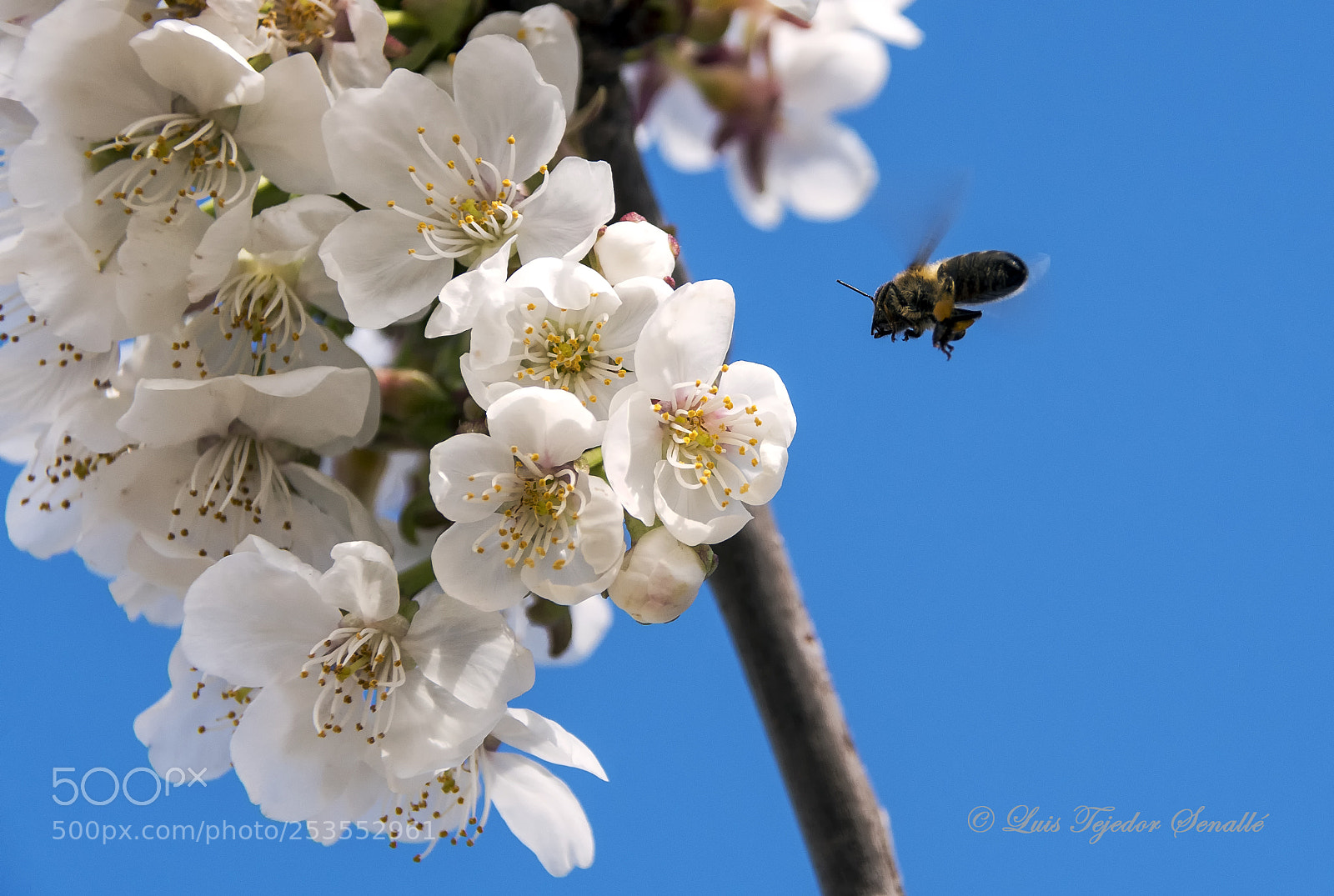 Nikon D500 sample photo. Lts photography