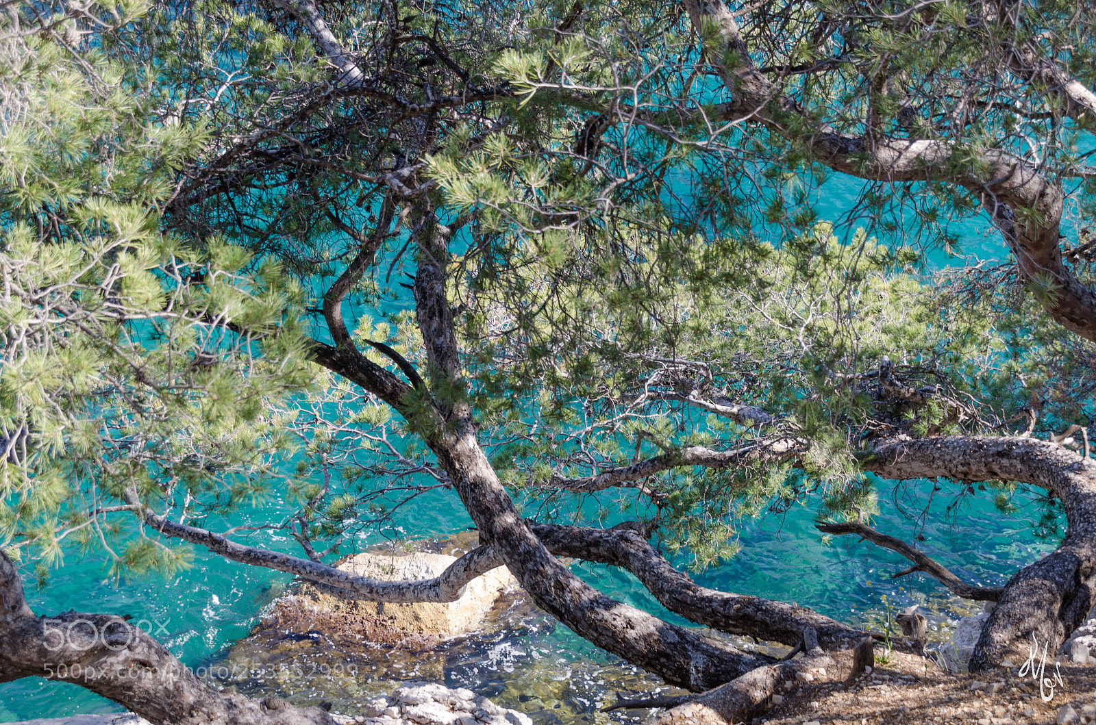 Nikon D7000 sample photo. Calanques de cassis photography