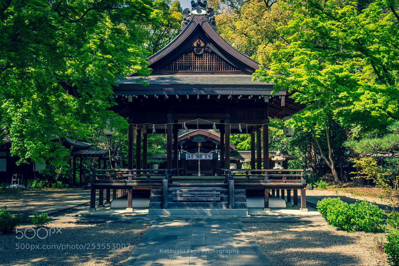 Olympus OM-D E-M10 sample photo. Nashinoki shrine photography