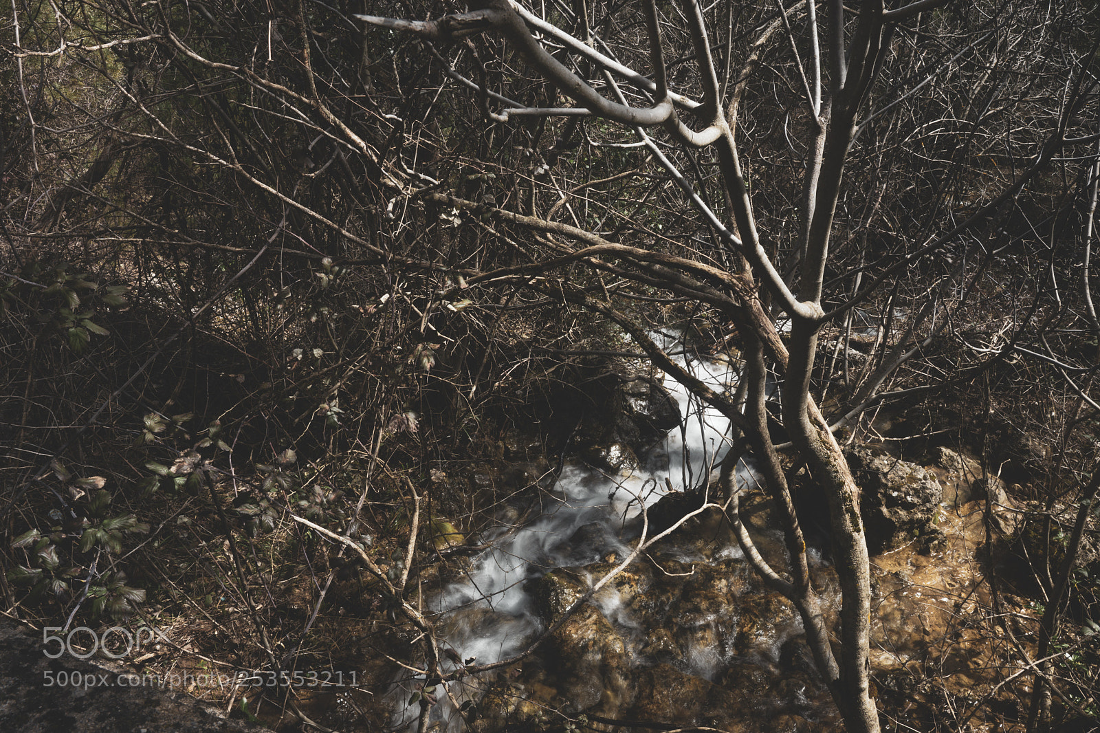 Sony SLT-A99V sample photo. Water photography