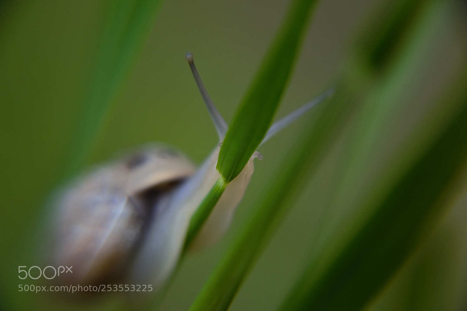 Nikon D3100 sample photo. Hide-and-seek envie de jouer photography