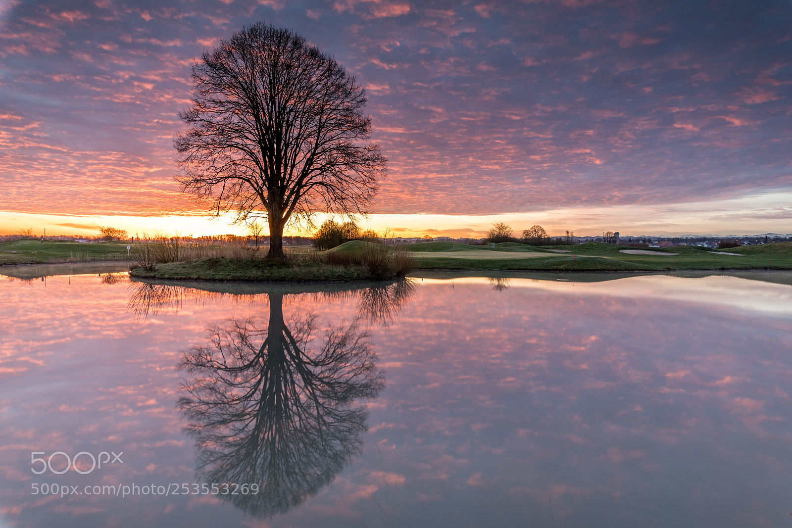 Canon EOS 6D Mark II sample photo. Morning golf photography