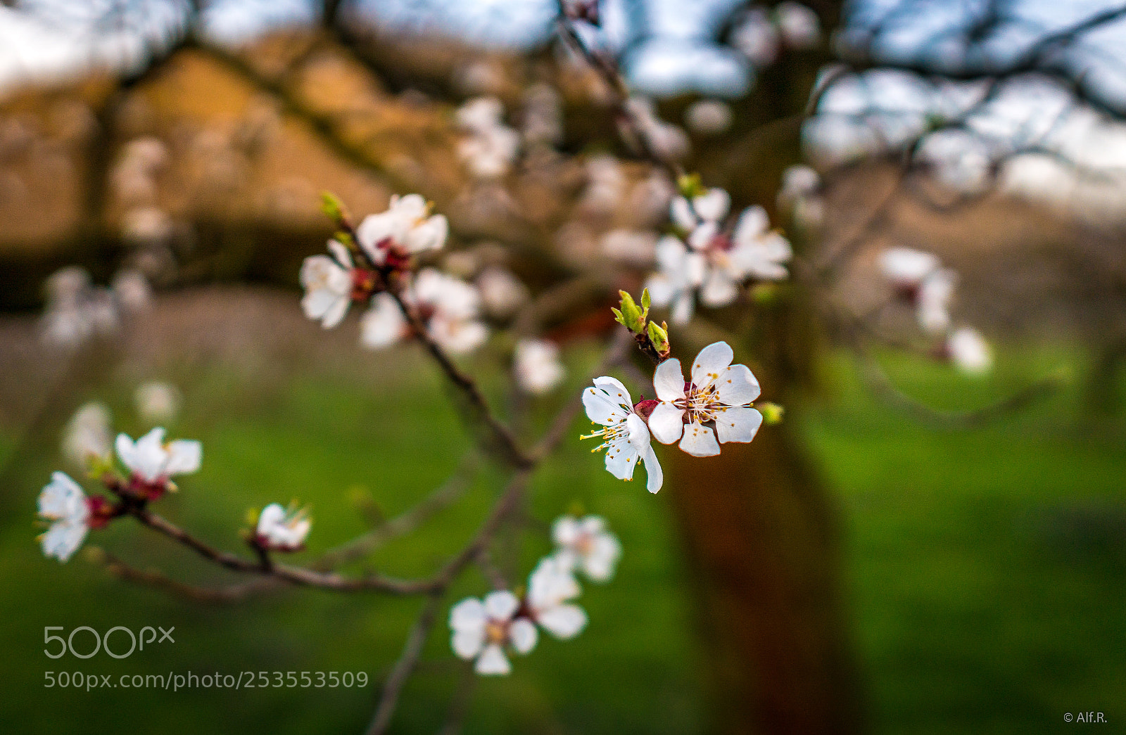 Sony a6500 sample photo. This is the wachau photography