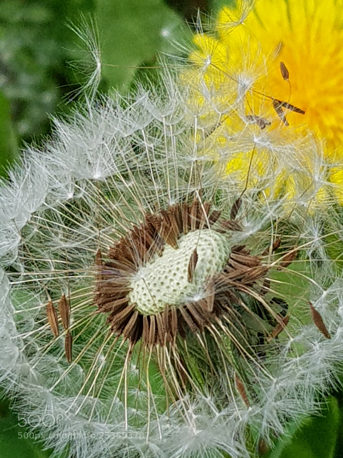 Samsung Galaxy S8 sample photo. Untitled photography