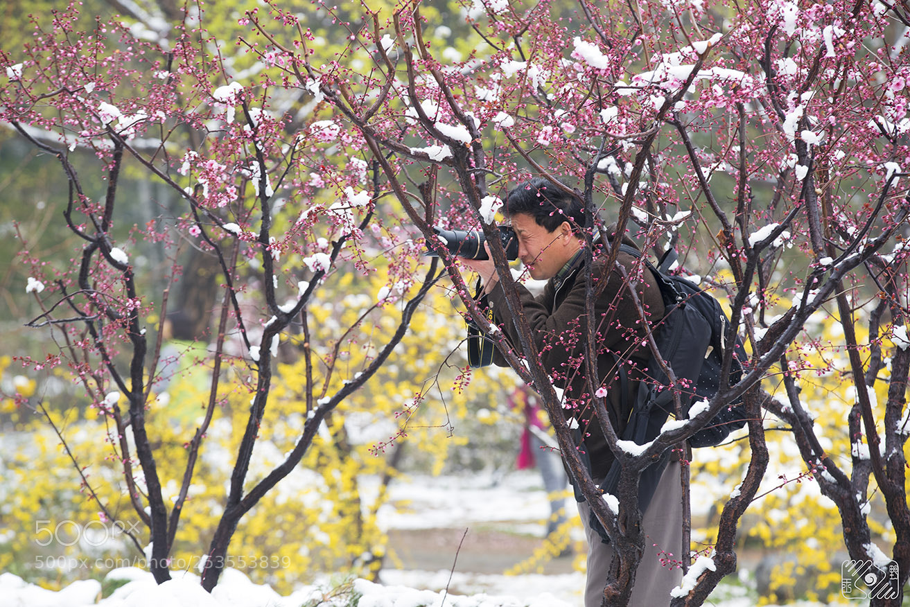 Canon EOS-1D X Mark II sample photo. The scenery is better photography
