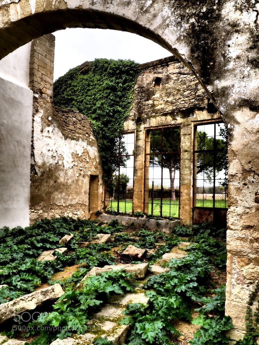 Olympus OM-D E-M5 II sample photo. Ruines de l'orangerie photography