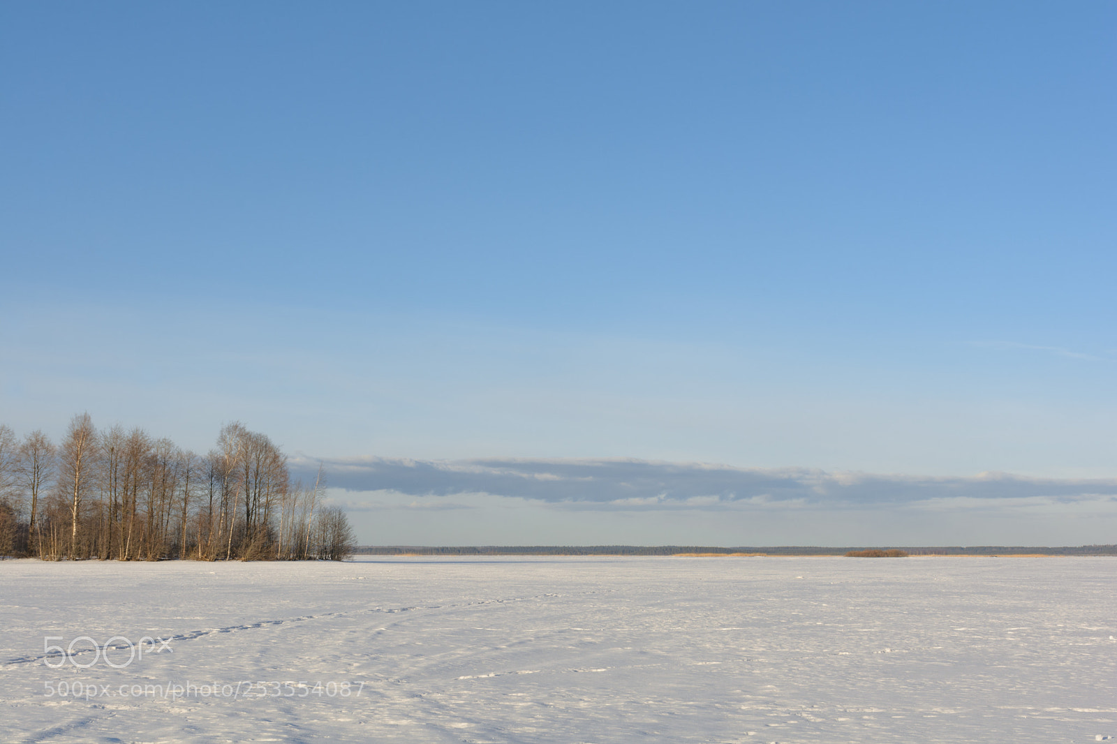 Nikon D7100 sample photo. The spring landscape photography