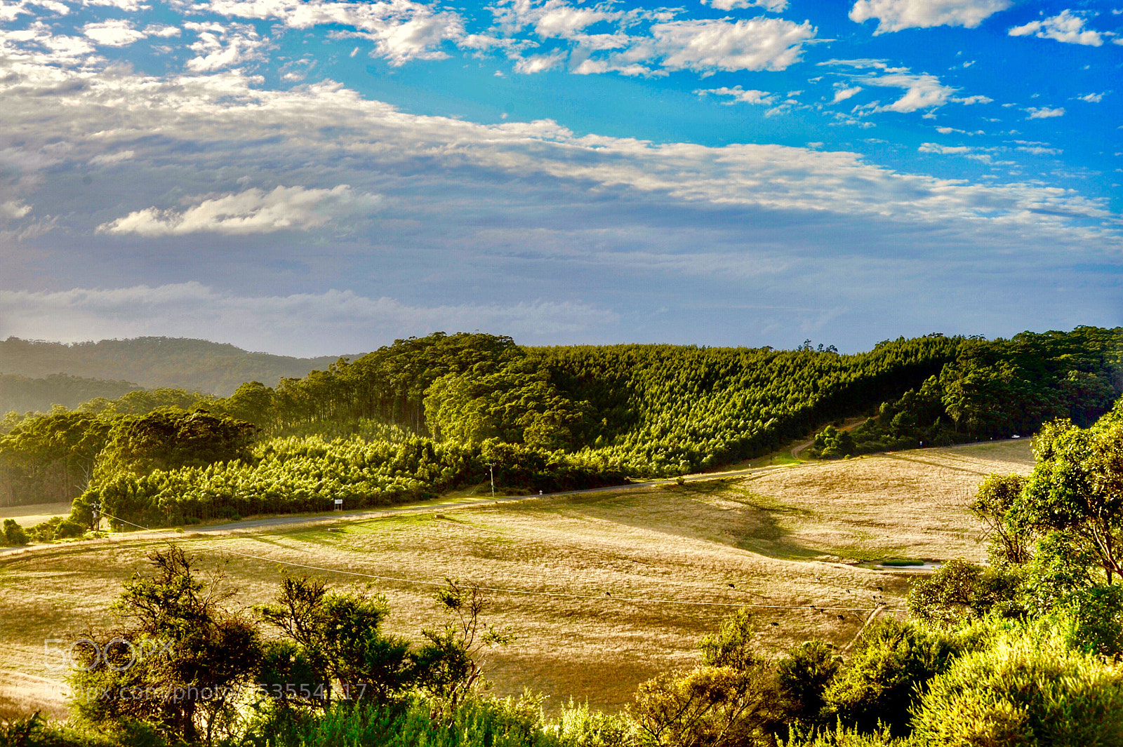 Nikon D700 sample photo. 《霞光牧场》2。 photography