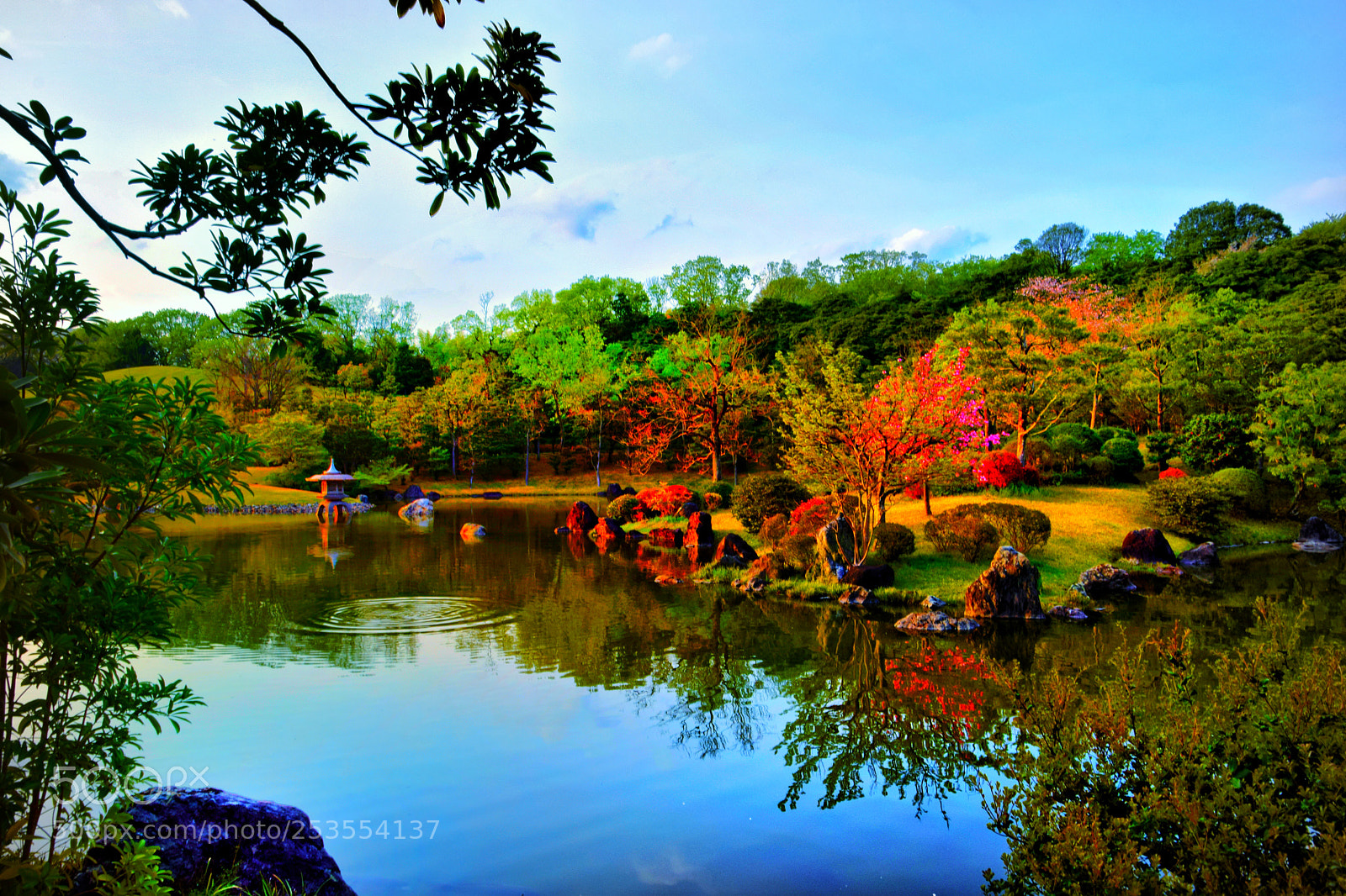 Nikon D3300 sample photo. Japanese garden photography