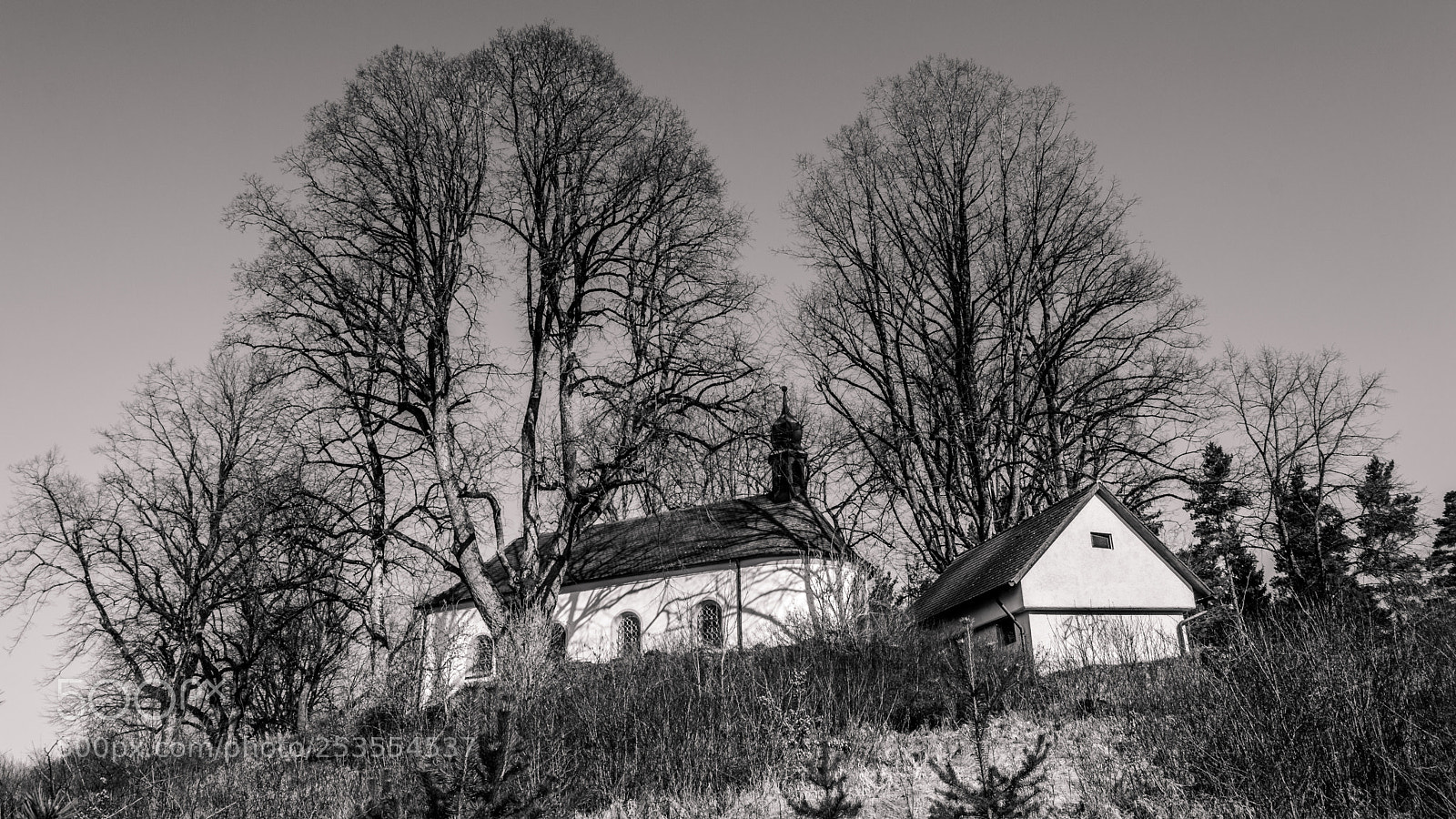 Nikon D3200 sample photo. Seeking salvation photography