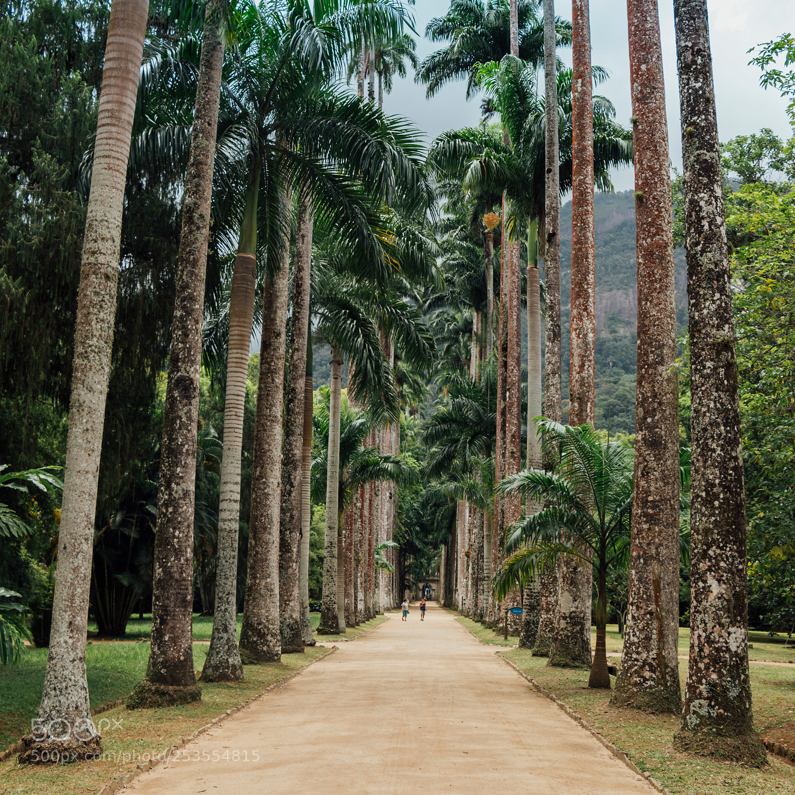 Canon EOS 70D sample photo. Rio de janeiro photography