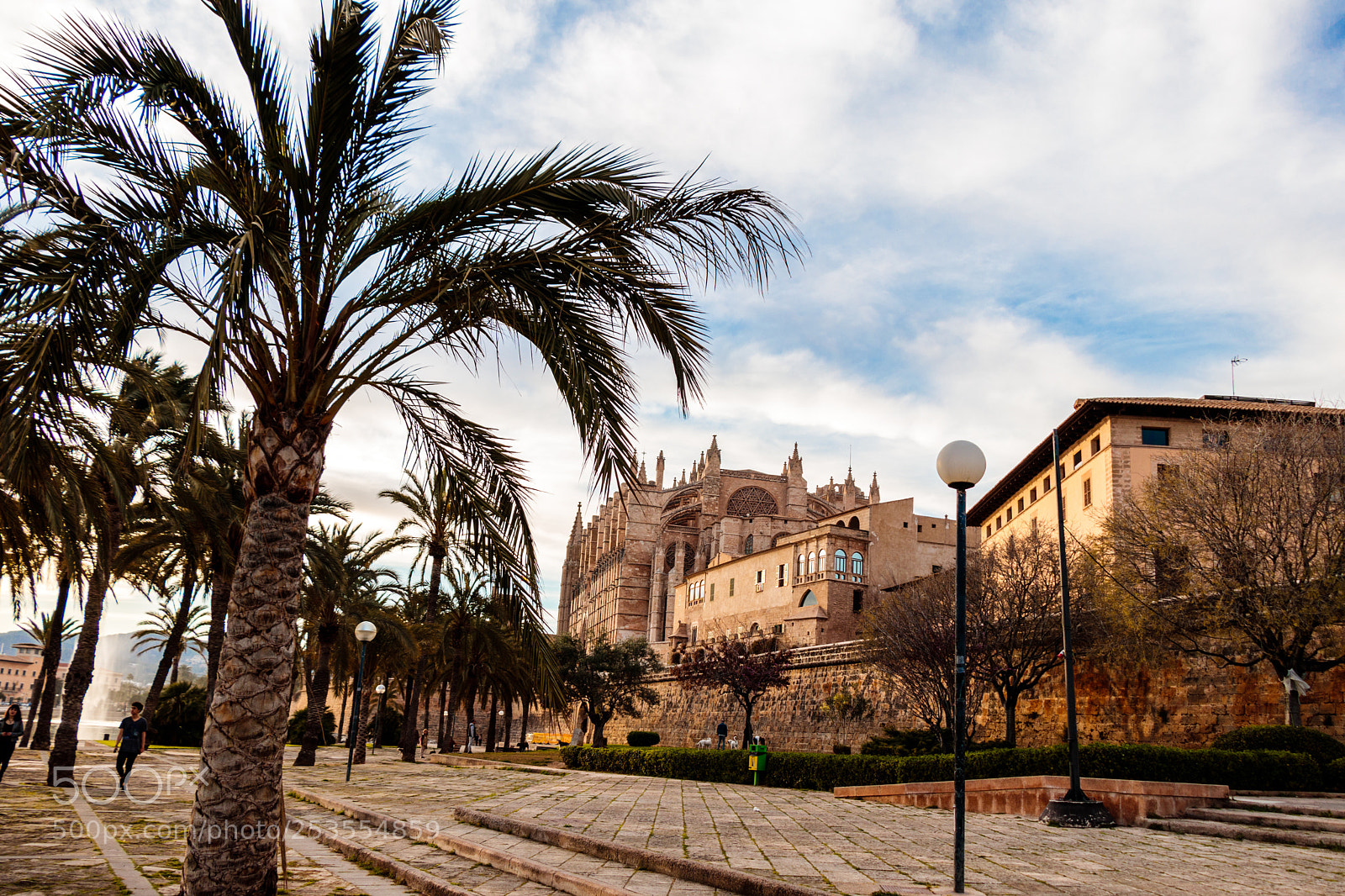 Canon EOS 77D (EOS 9000D / EOS 770D) sample photo. Stumbling onto the mallorca photography