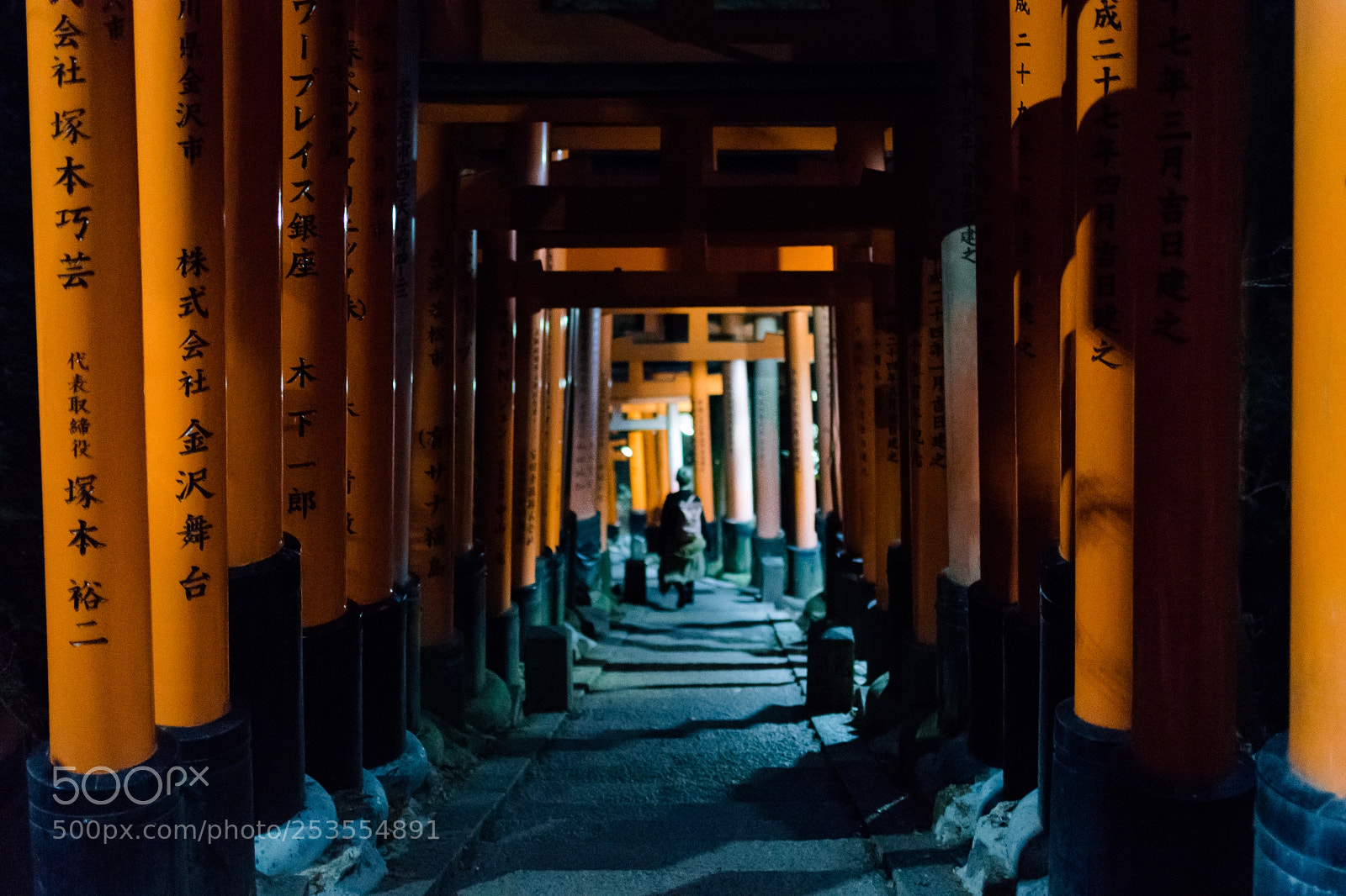 Nikon D5500 sample photo. Fushimi inari pathway photography