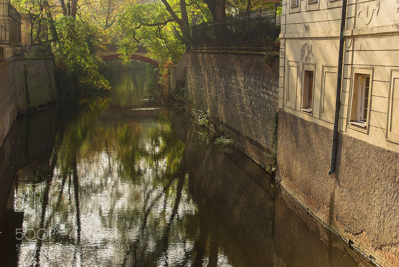 Pentax K10D sample photo. Despertares photography