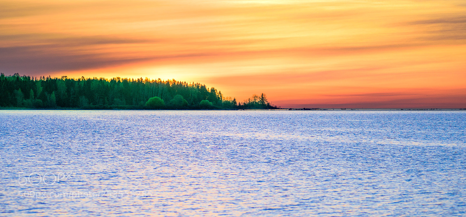 Nikon D810 sample photo. Sikvika photography