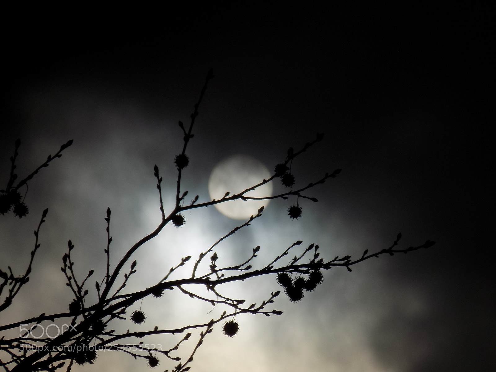 Nikon COOLPIX L340 sample photo. Morning sun photography