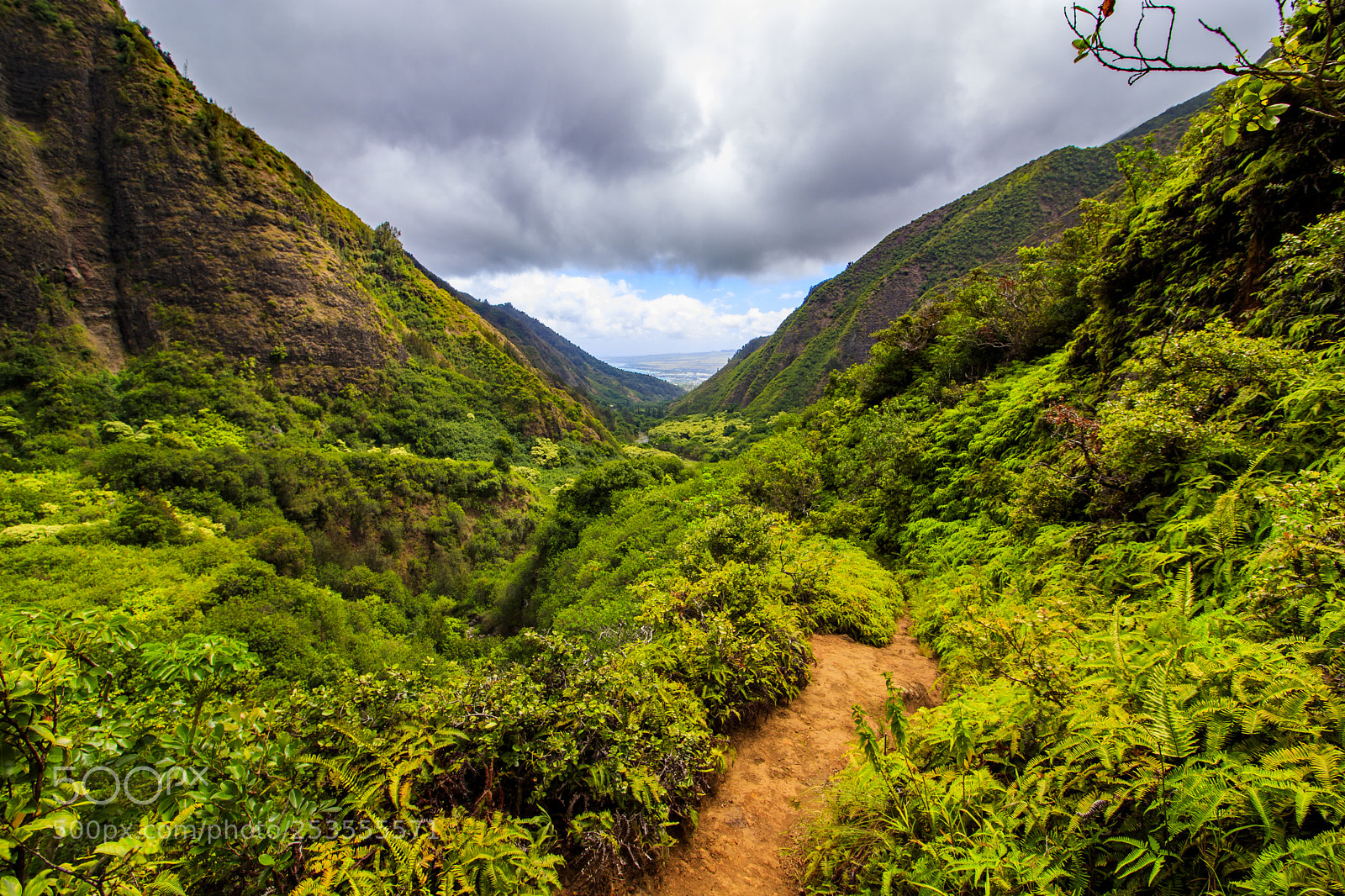 Canon EOS 80D sample photo. Maui photography