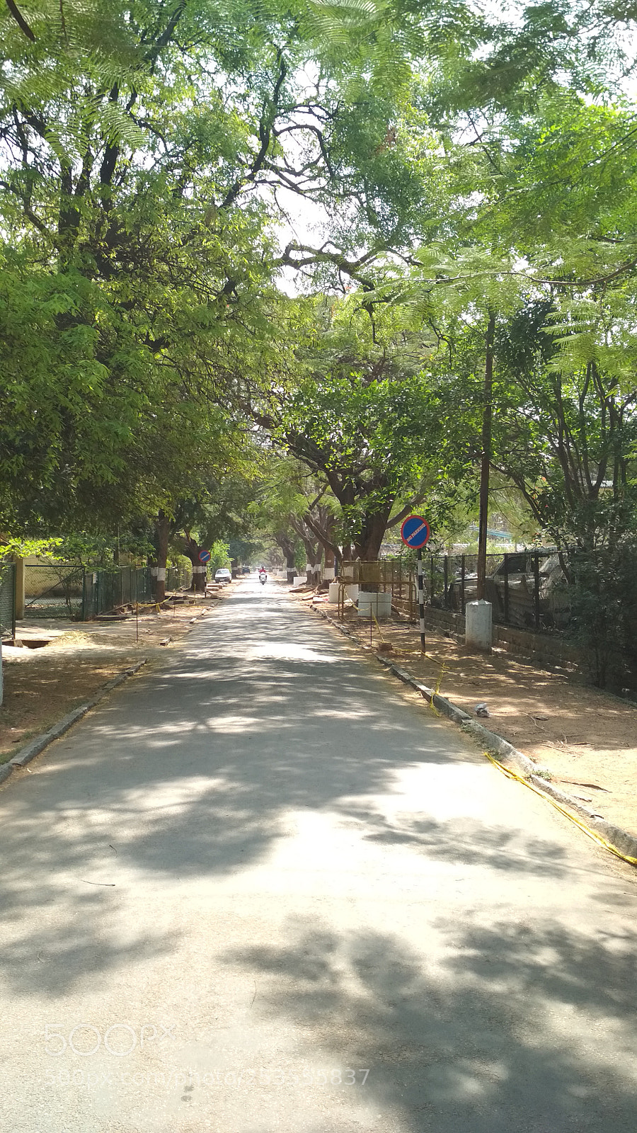 Xiaomi Redmi 4 Pro sample photo. Untitled photography