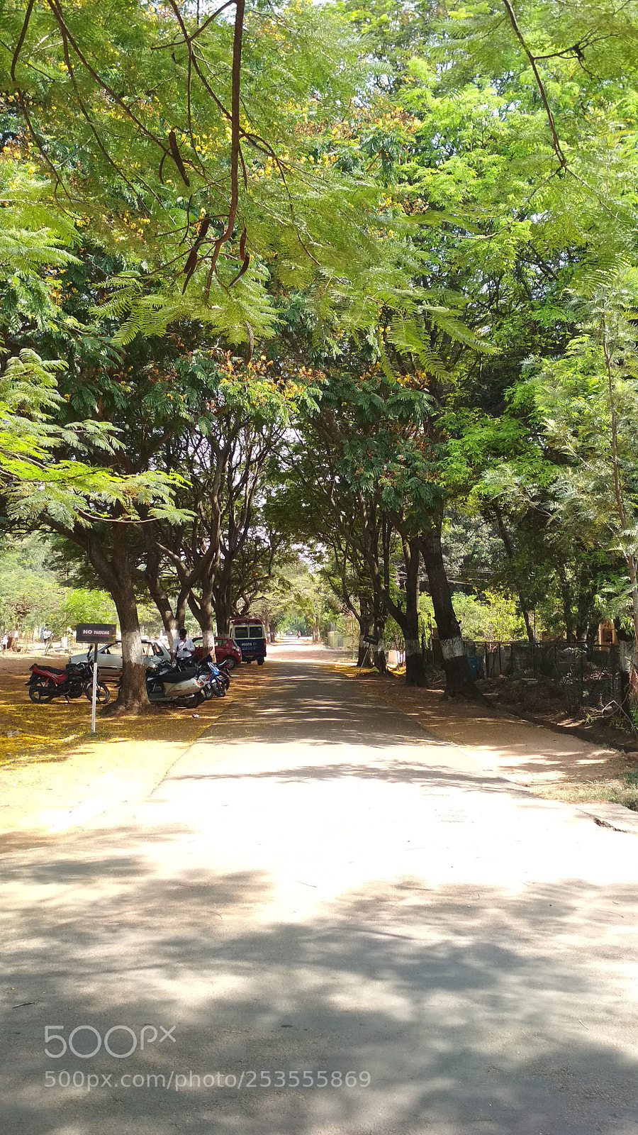 Xiaomi Redmi 4 Pro sample photo. Untitled photography