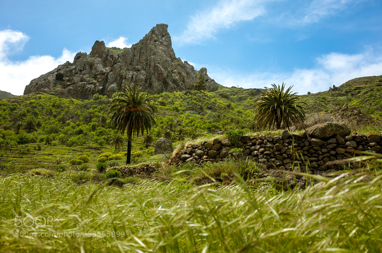 Ricoh GR sample photo. Barranco de guarimiar ii photography