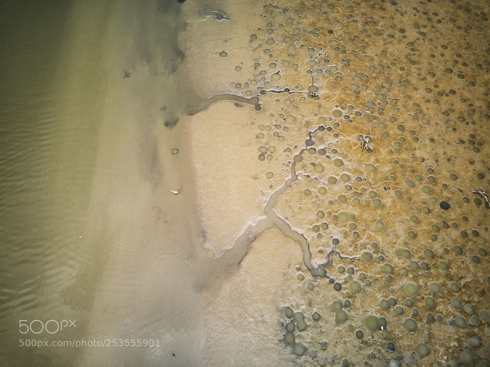 DJI FC220 sample photo. Nam sang wai, hong photography