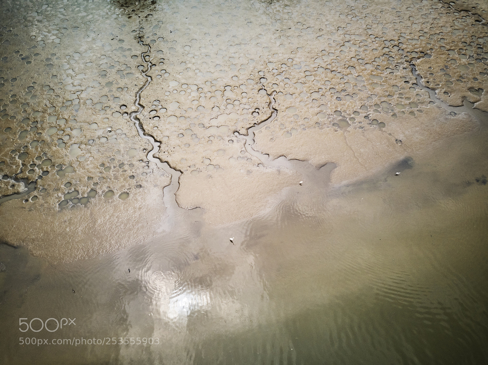 DJI FC220 sample photo. Nam sang wai, hong photography