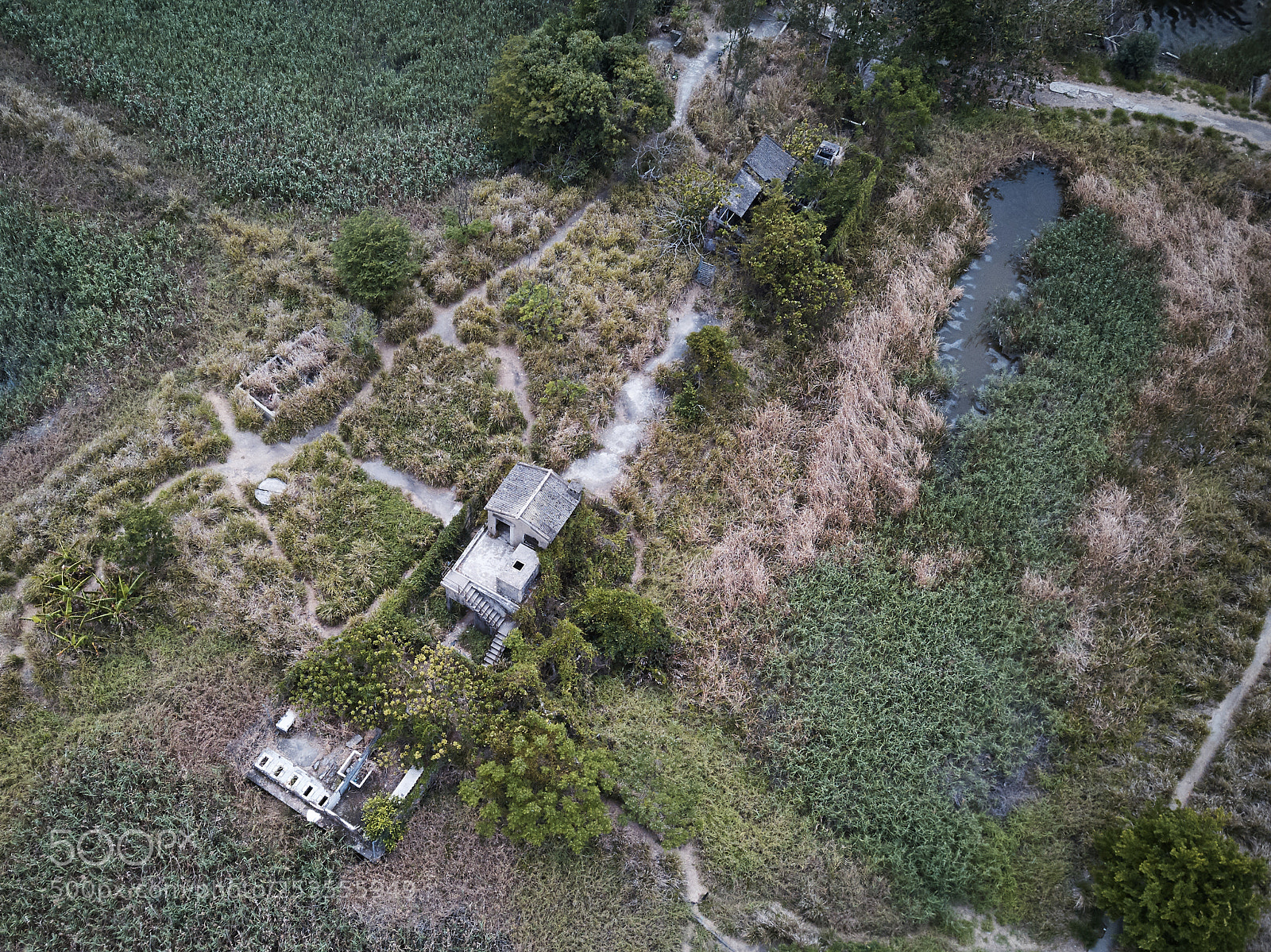 DJI FC220 sample photo. Nam sang wai, hong photography